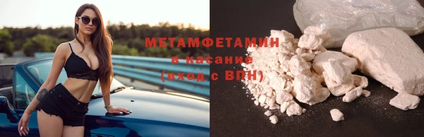 индика Богданович