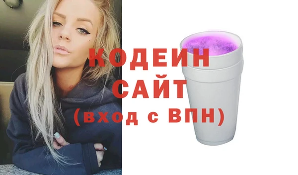 индика Богданович