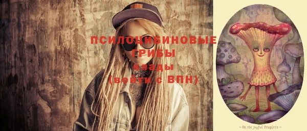 индика Богданович