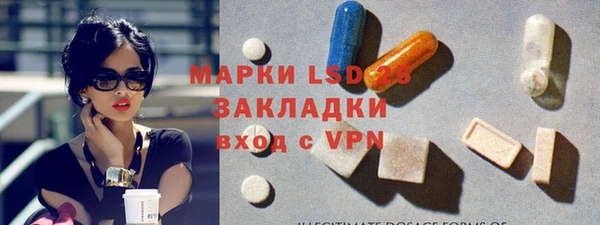 индика Богданович