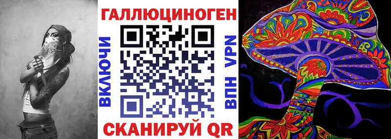 Галлюциногенные грибы Psilocybe kraken Демидов